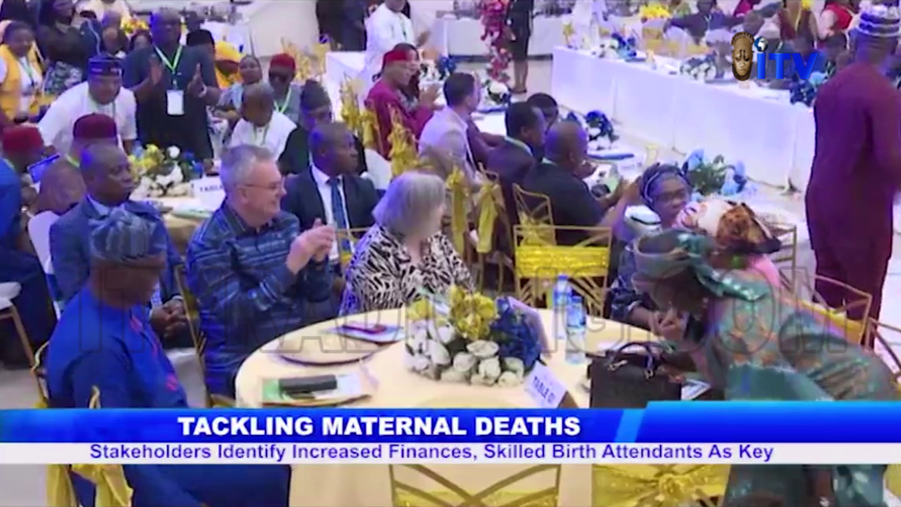 Tackling Maternal Deaths: Stakeholders Identify Increased Finances, Skilled Birth Attendants As Key