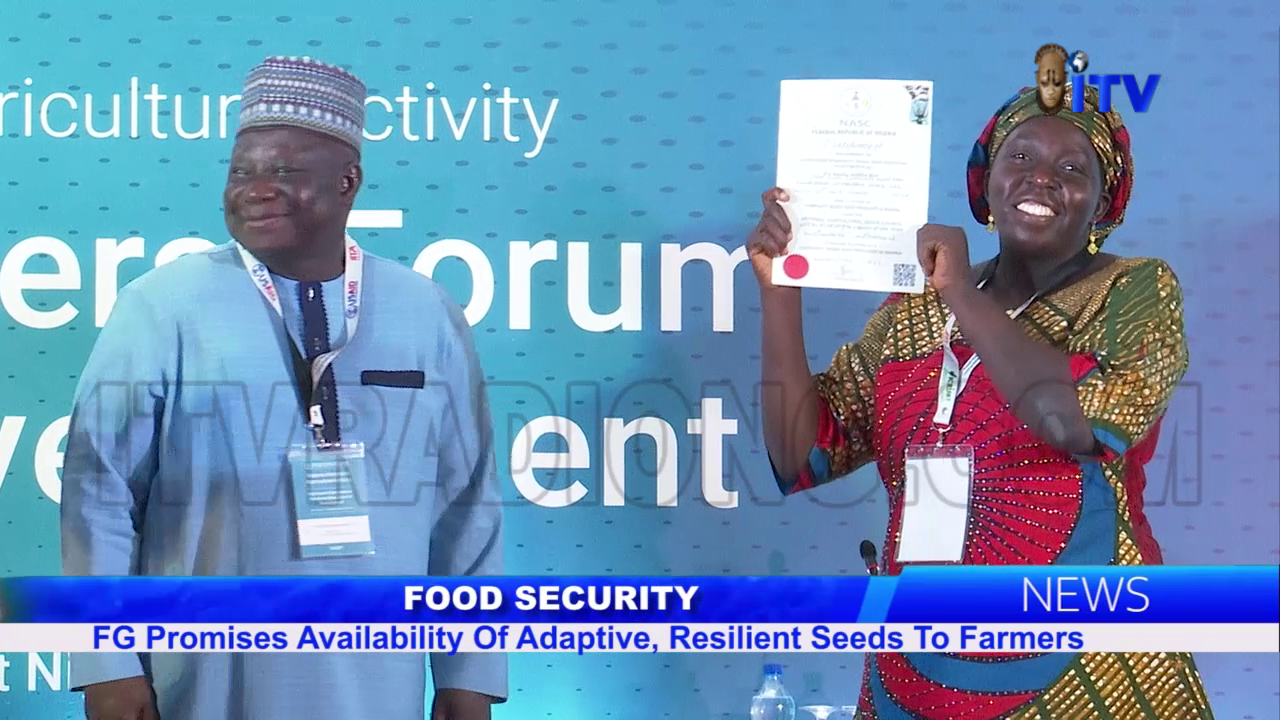 Food Security: FG Promises Availability Of Adaptive, Resilient Seeds To Farmers