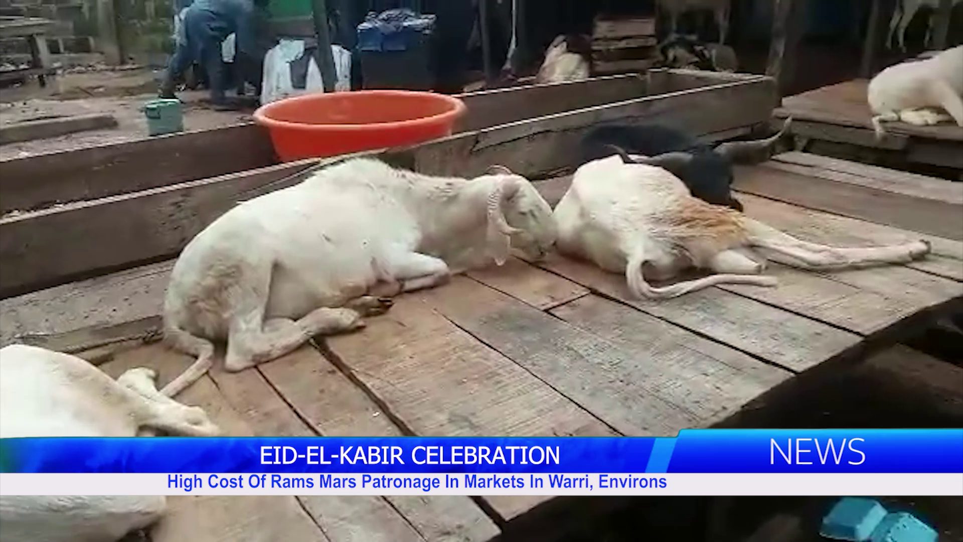 EID-EL-KABIR CELEBRATION: High Cost Of Rams Mars Patronage In Markets In Warri, Environs