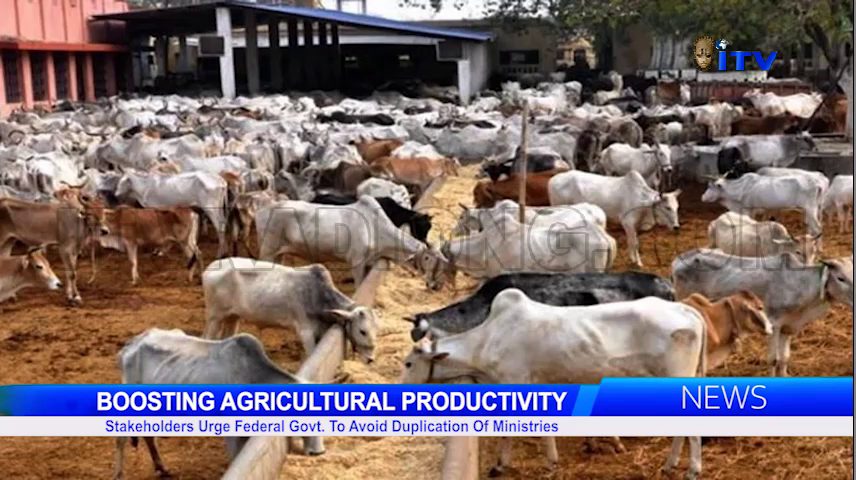 Boosting Agricultural Productivity: Stakeholders Urge Federal Govt. To Avoid Duplication Of Ministries