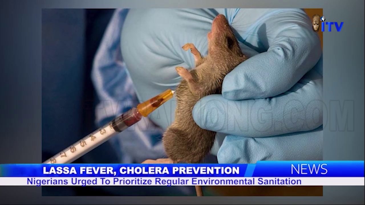 Lassa Fever, Cholera Prevention: Nigerians Urged To Prioritized Regular Environmental Sanitation