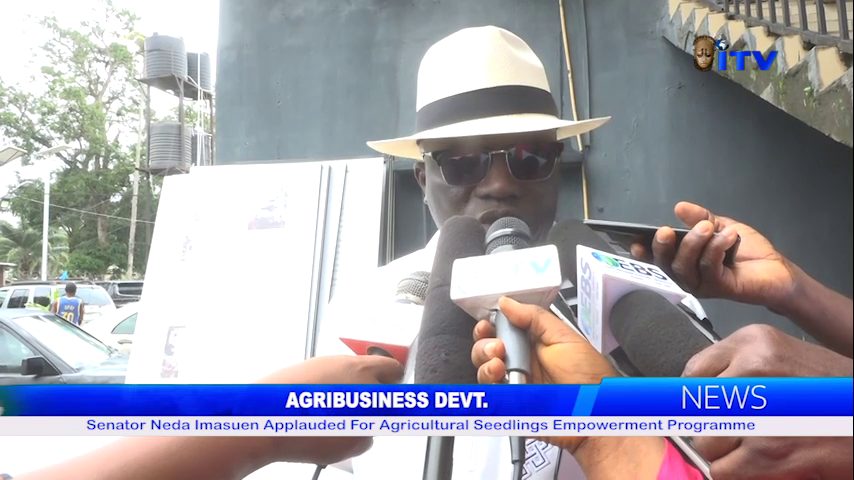 Senator Neda Imasuen Applauded For Agricultural Seedlings Empowerment Programme