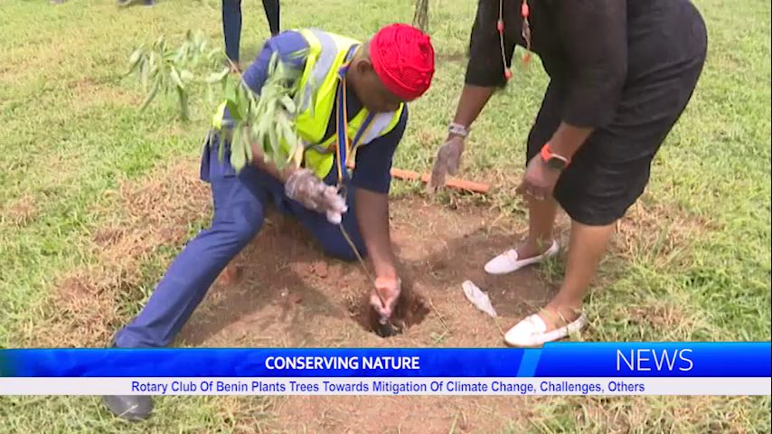 Rotary Club Of Benin Plants Trees Towards Mitigation Of Climate Change, Challenges, Others