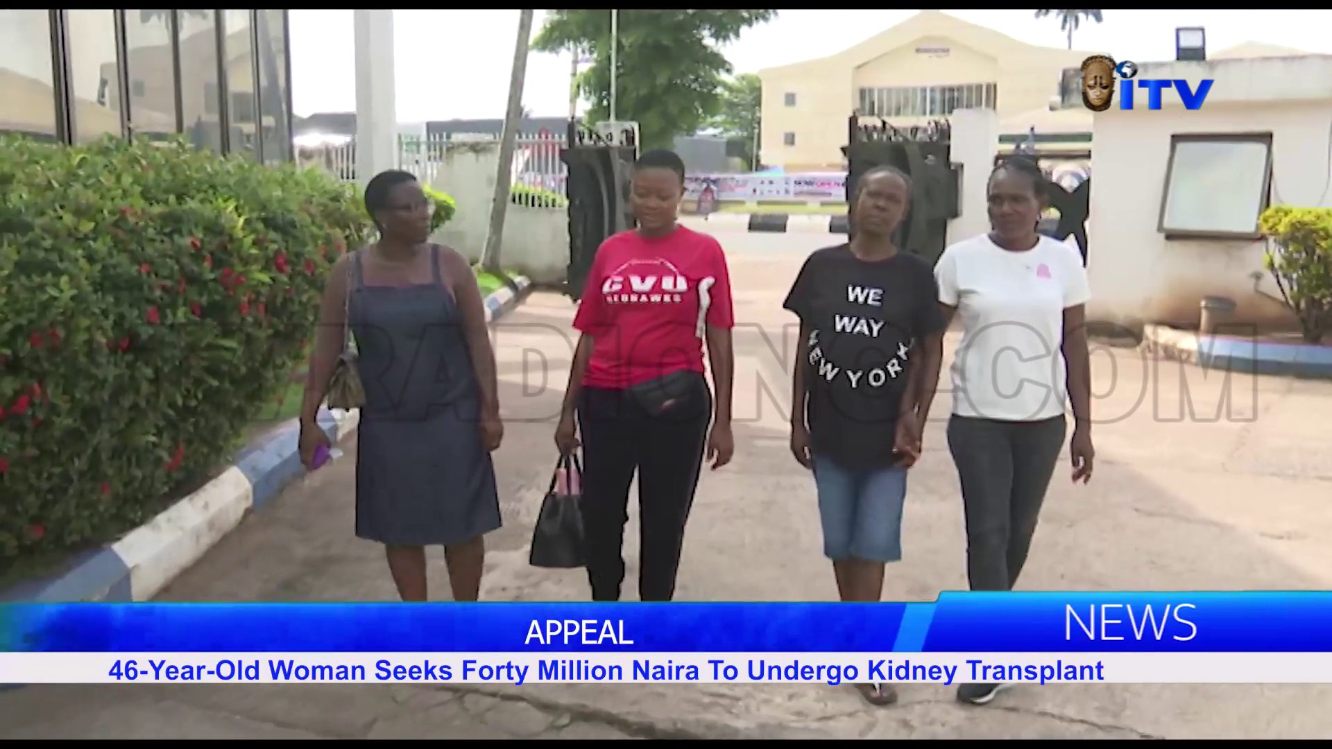 APPEAL: 46-Year-Old Woman Seeks Forty Million Naira To Undergo Kidney Transplant