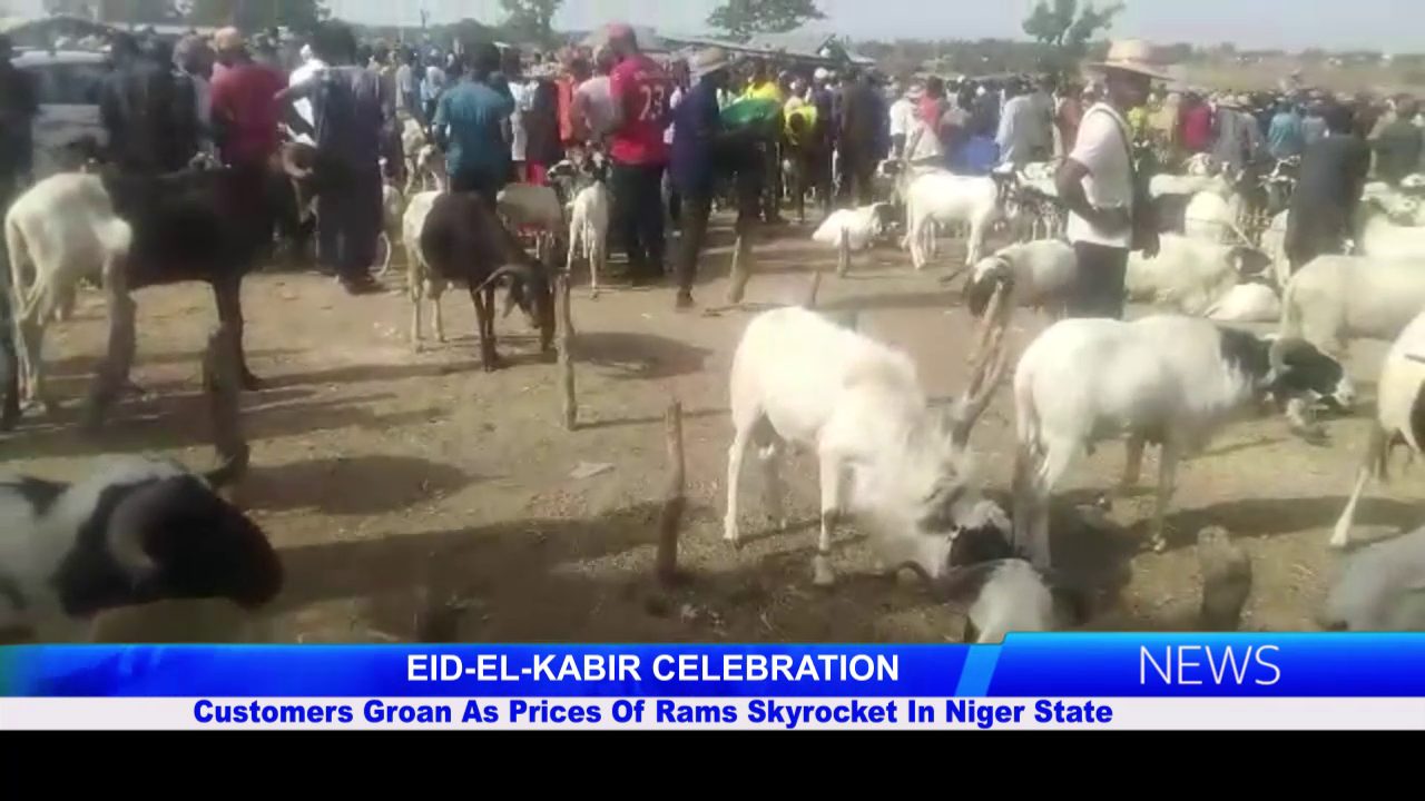 EID-EL-KABIR CELEBRATION: Customers Groan As Prices Of Rams Skyrocket In Niger State