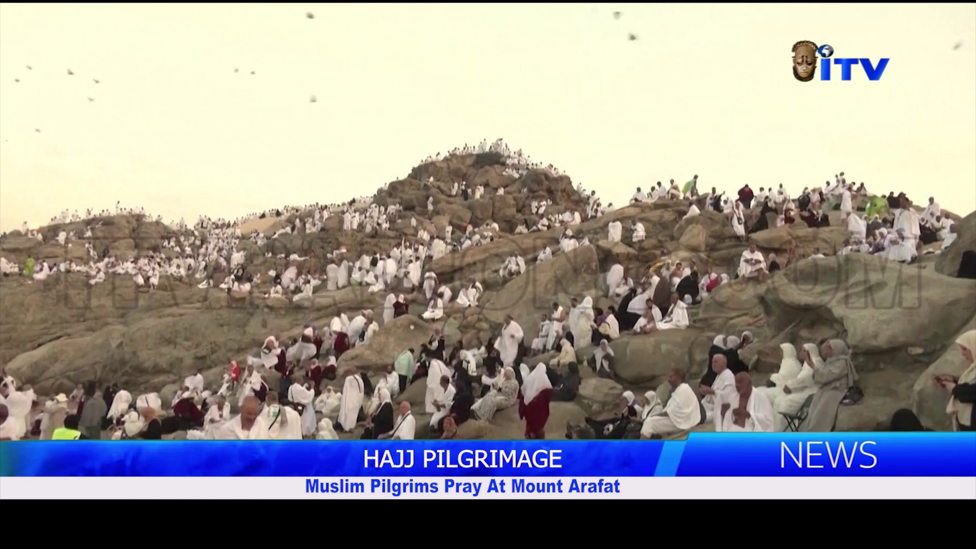 HAJJ PILGRIMAGE: Muslim Pilgrims Pray At Mount Arafat