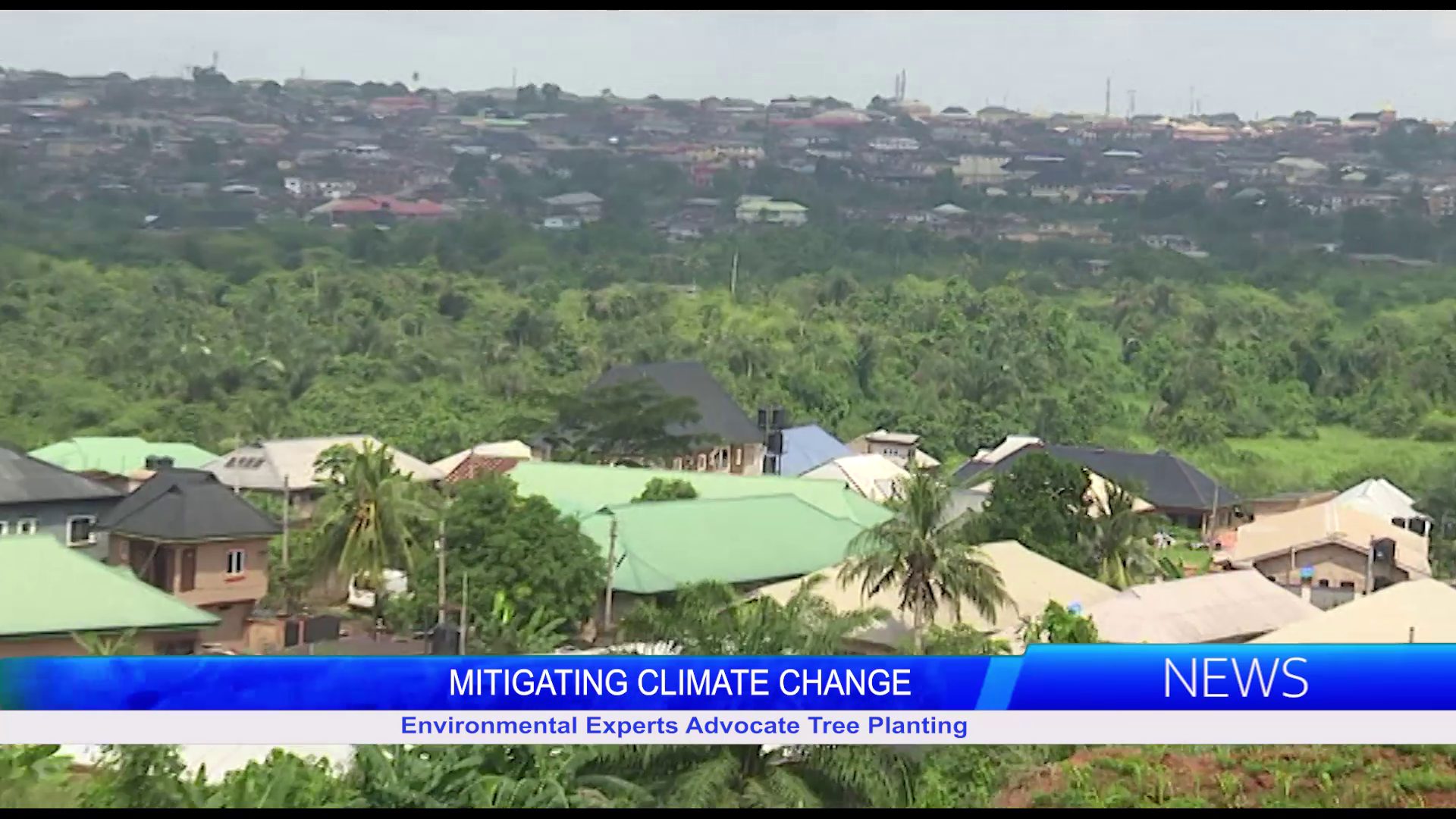 MILITATING CLIMATE CHANGE: Environmental Experts Advocate For Tree Planting