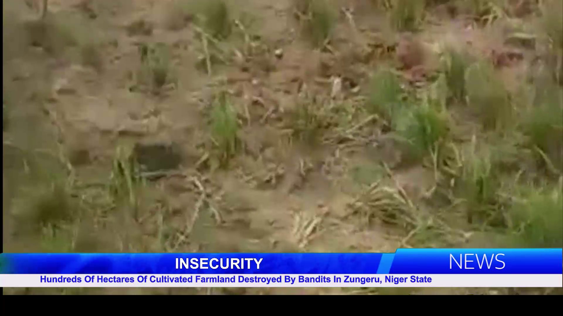 Hundreds Of Hectares Of Cultivated Farmland Destroyed By Bandits In Zungeru, Niger State