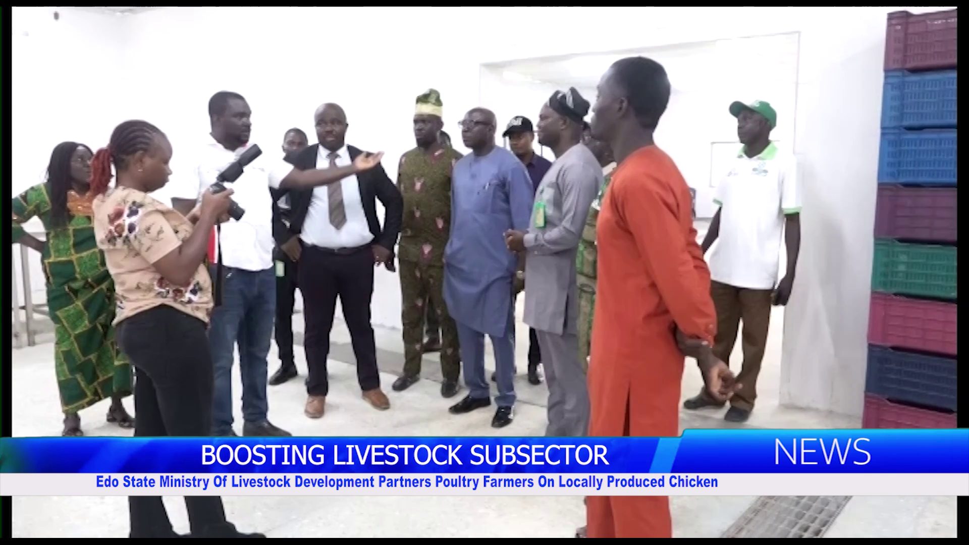 Edo State Ministry Of Livestock Development Partners Poultry Farmers On Locally Produced Chicken