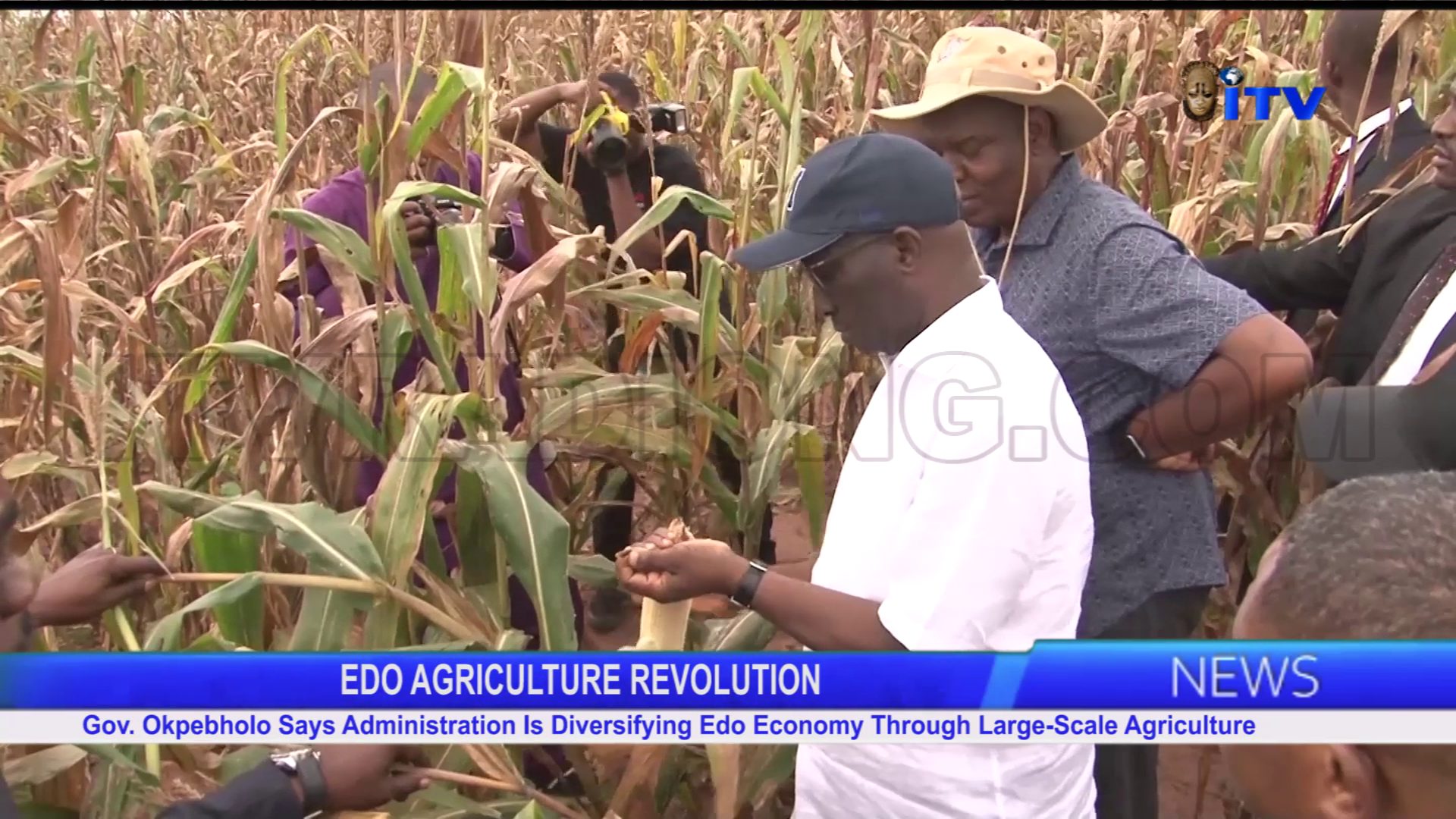 Gov. Okpebholo Says Administration Is Diversifying Edo Economy Through Large-Scale Agriculture