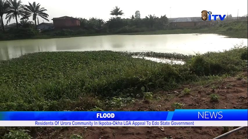 ‎FLOOD: ‎‎Residents Of Urora Community In Ikpoba-Okha LGA Appeal To Edo State Government‎