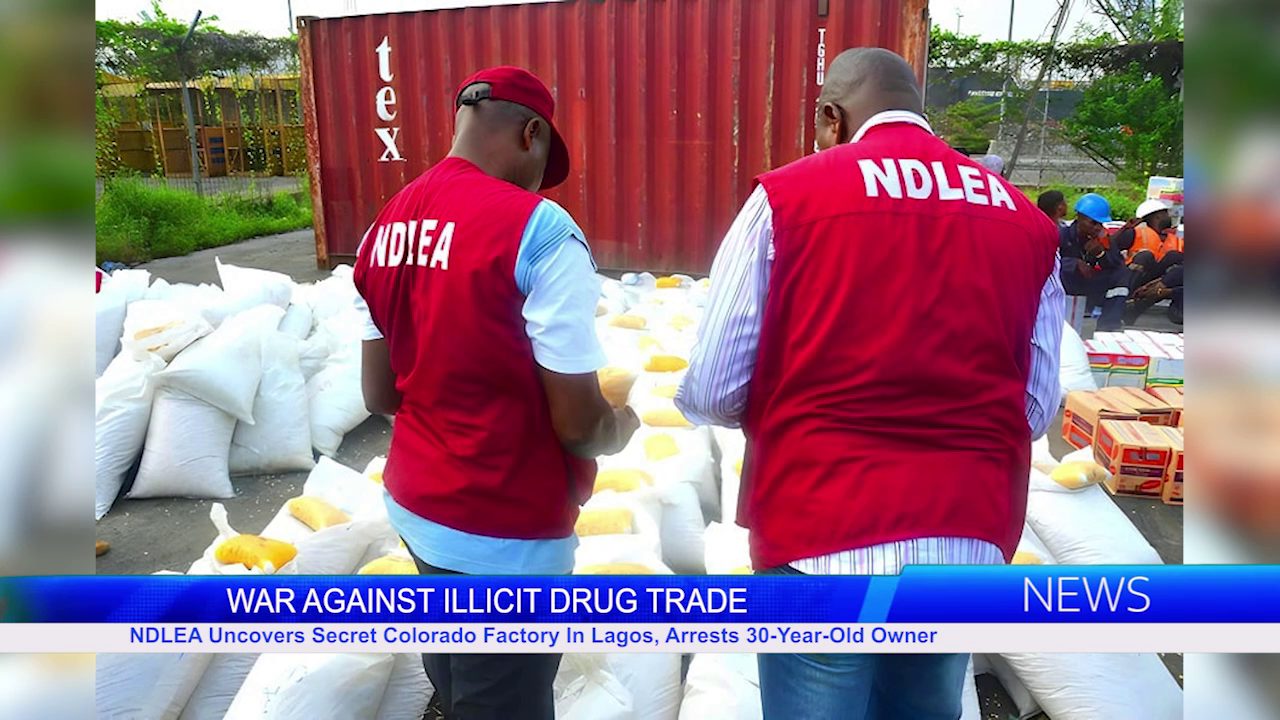 NDLEA Uncovers Secret Colorado Factory In Lagos, Arrests 30-Year-Old Owner