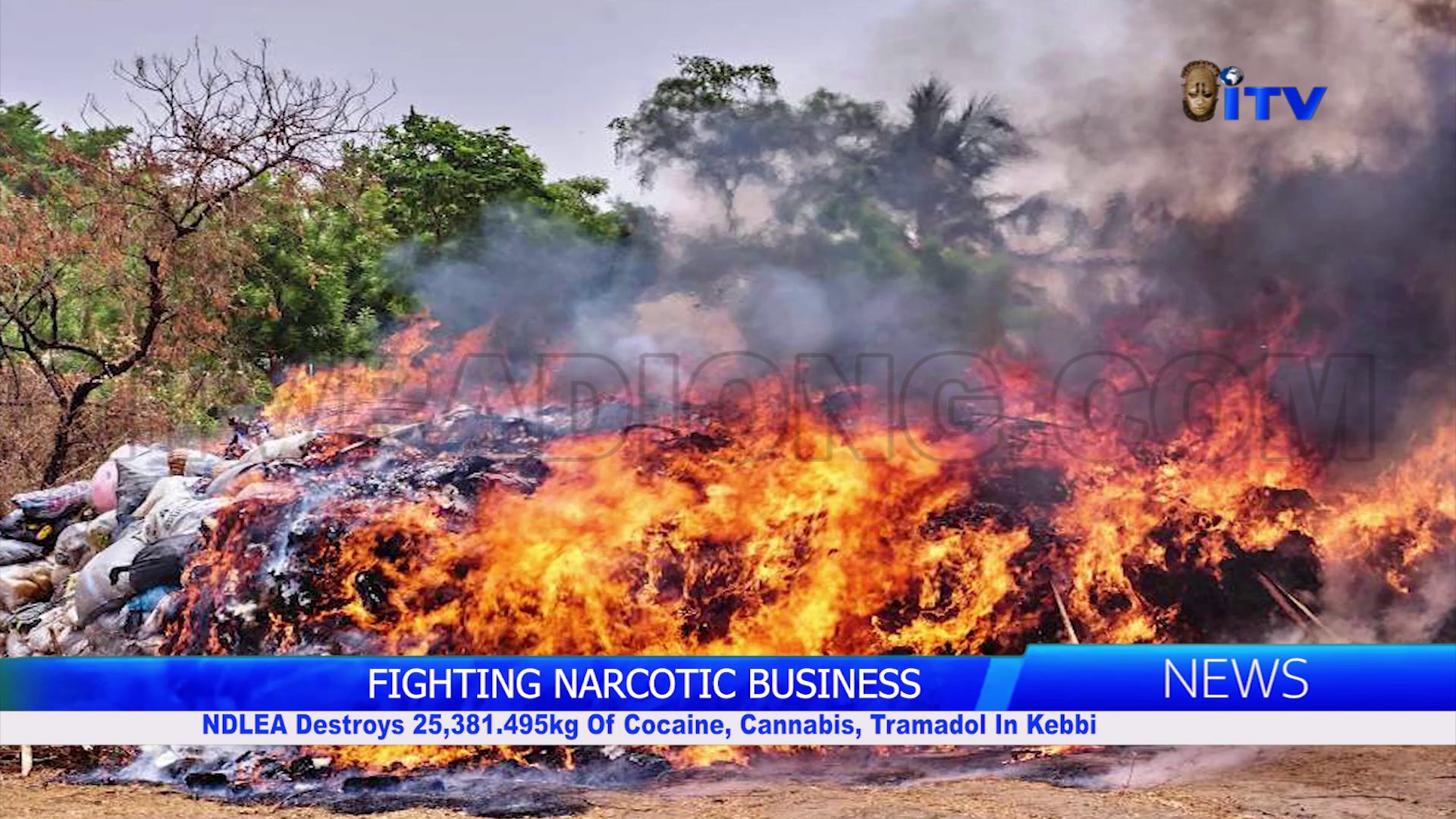 FIGHTING NARCOTIC BUSINESS: NDLEA Destroys 25,381.495kg Of Cocaine, Cannabis, Tramadol In Kebbi