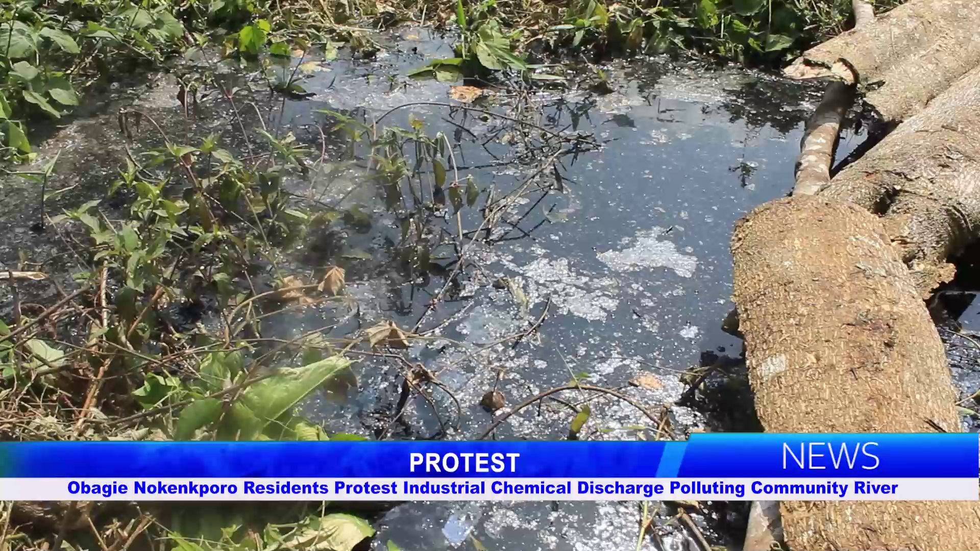 Obagie Nokenkporo Residents Protest Industrial Chemical Discharge Polluting Community River