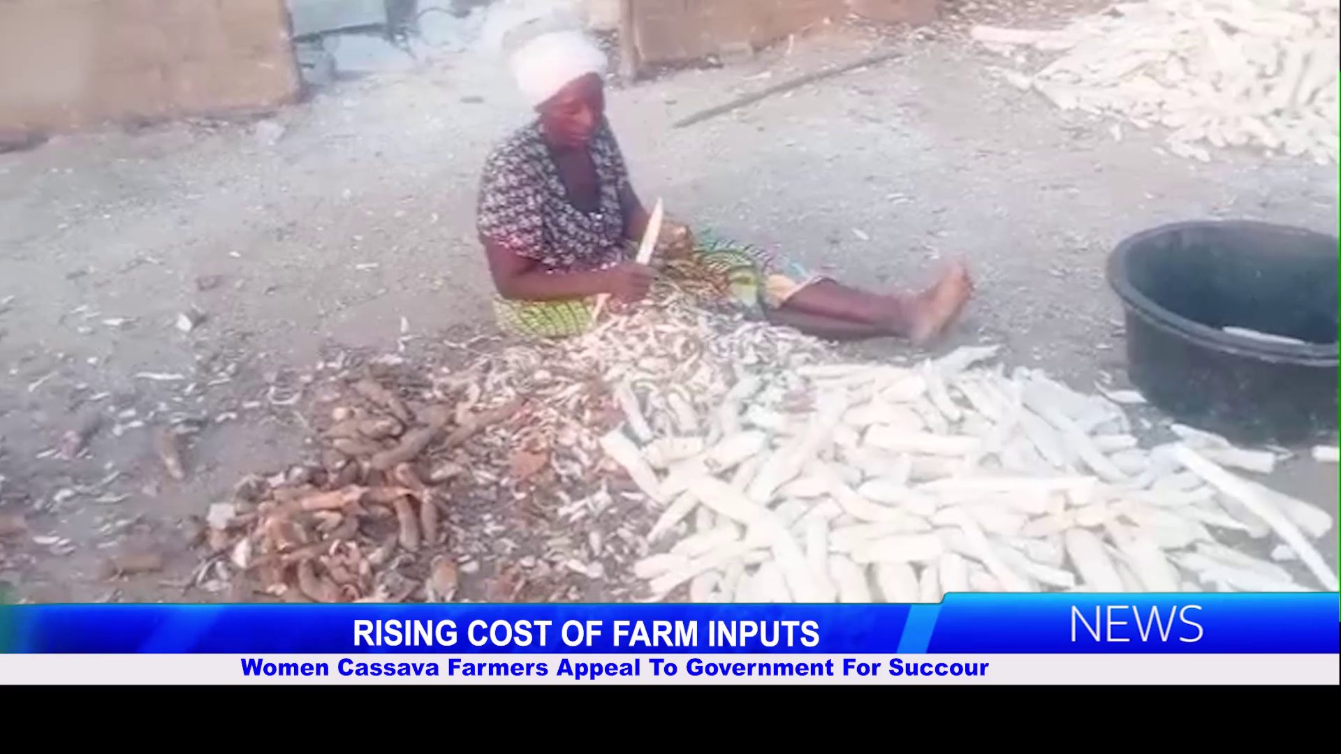 RISING COST OF FARM INPUTS: Women Cassava Farmers Appeal To Government For Succour