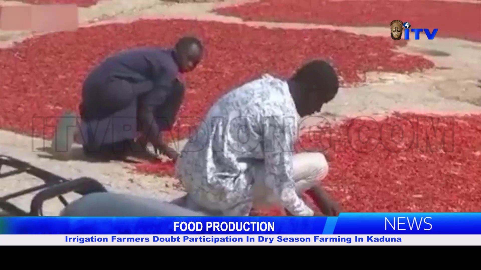 FOOD PRODUCTION: Irrigation Farmers Doubt Participation In Dry Season Farming In Kaduna