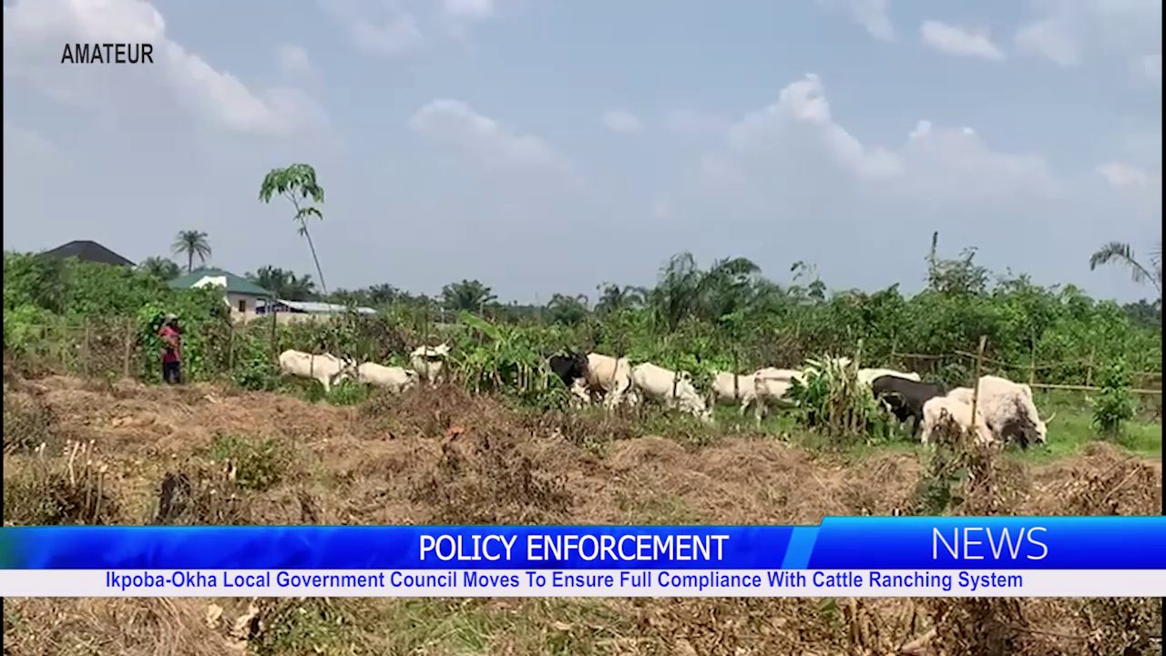 Ikpoba-Okha Local Government Council Moves To Ensure Full Compliance With Cattle Ranching System