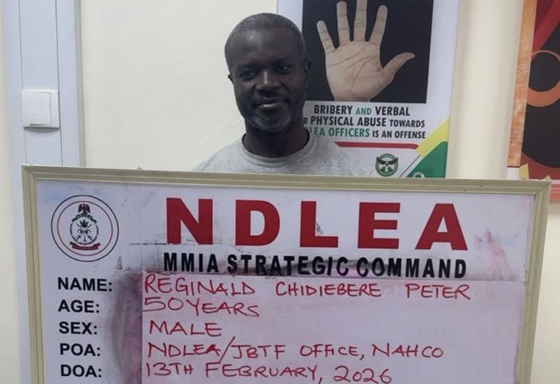 NDLEA Arrests Suspected Drug Dealer After 13 Years In Hiding