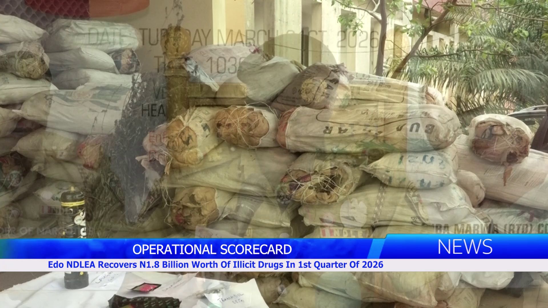 Edo NDLEA Recovers N1.8 Billion Worth Of Illicit Drugs In 1st Quarter Of 2026