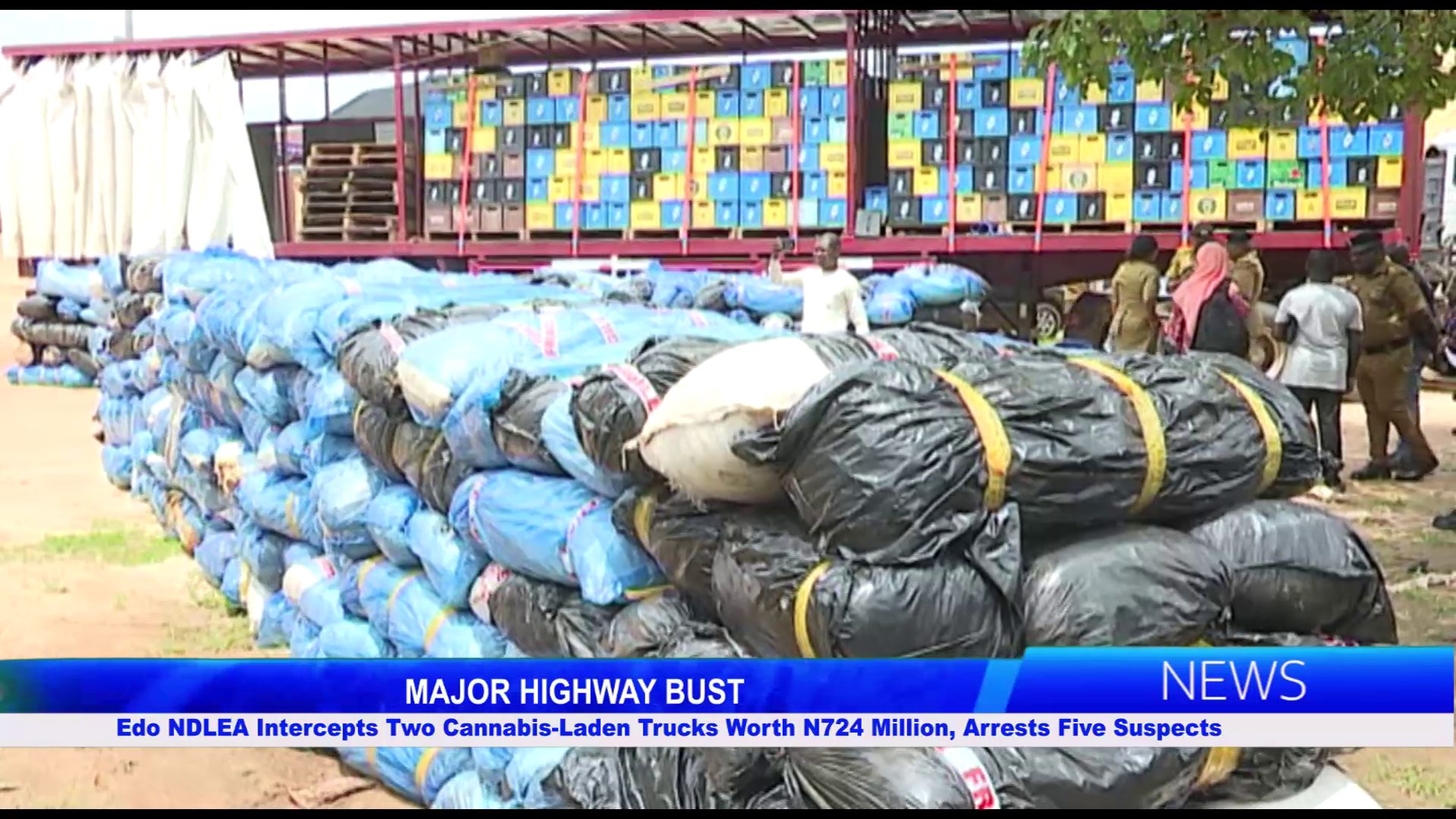 Edo NDLEA Intercepts Two Cannabis-Laden Trucks Worth N724 Million, Arrests Five Suspects